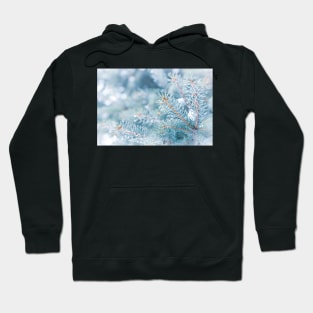 Snowy Winter Evergreen Forest Branches Hoodie